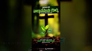 gracecalvaryministry today's word of god | ఈ రోజు దేవుని వాగ్దానం. #subscribe #shorts #jesus