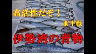 【海釣り情報】伊勢湾は高活性な青物だらけだ！前半戦