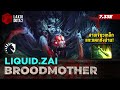 Broodmother โดย Liquid.zai เกมในตำนานแมงมุมสายเขี้ยวเหล็ก แทะแตกทั้งบ้าน Lakoi Dota 2