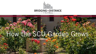 Bridging the Distance: How the SCU Garden Grows