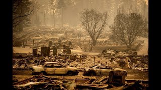 A town devastated: reporting on Paradise, California