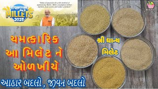 આંતરરાષ્ટ્રીય મિલેટ વર્ષ માં મિલેટ ને ઓળખીયે અને ફાયદાઓ જાણીએ. Know our Millet. આહાર થી બદલીએ જીવન