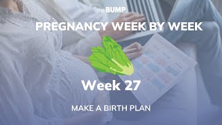 Pregnancy Week 27 | Make A Birth Plan | Pregnancy Week By Week