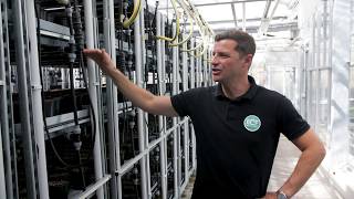 Fluence Innovator | ECF Farmsystems Achieves Year-round greenhouse production in the heart of Berlin