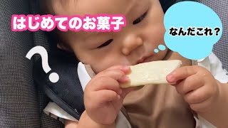 【生後8か月】はじめての、小魚せんべい【育児】