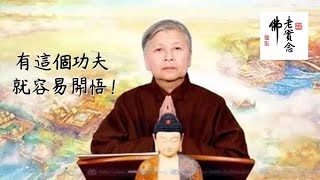 劉素雲老師：有這樣的功夫，心就清淨，就容易開悟！