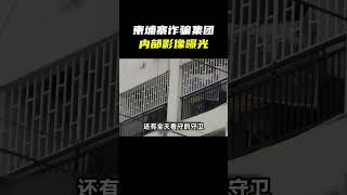 揭秘杀猪盘内幕，中年女子网恋被骗上千万，诈骗流程曝光