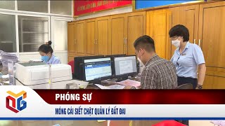 Móng Cái siết chặt quản lý đất đai