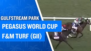 The $500,000 Pegasus World Cup F\u0026M Turf Invitational (G2) at Gulfstream Park on Pegasus Day 2025