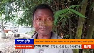 আবহাওয়ার তারতম্যের বাদে চলতি মরশুমত পাট চাষ সুবিধাজনক হয়নাই, সমস্যাত কৃষকলা