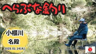 へらぶな釣り｜小櫃川（名殿）2025年1月14日（火）