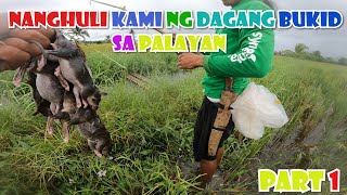 NANGHULI KAMI NG DAGANG BUKID SA PALAYAN. | ENCOUNTER KING COBRA |