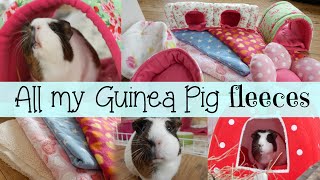 All Of My GUINEA PIG FLEECE ITEMS | Hamster HorsesandCats