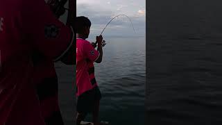 Mancing cuma di dermaga berhasil menaikkan ikan idaman emak-emak #fishing #mancing