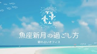 第5回☪️魚座新月動画【西洋占星術の勉強や暇な夜に最適】