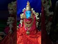 Varahi Devi Navarathrulu Pooja Day 4 on 22/06/23#varahidevi #varahipooja #varahipoojai #varahi 🙏🏻