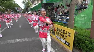 本丁筋踊り子隊 2019本家高知よさこい 11日 追手筋(南) mususukunjp