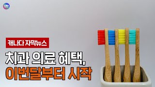 치과 의료 혜택, 이번달부터 시작 (캐나다)