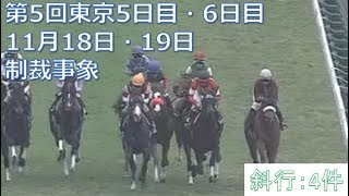 2017年11月18日・19日東京競馬制裁事象