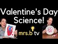 Valentine's Day Science! 💘💓💕