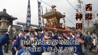 住吉神社北条節句祭本宮　西郷神輿　神明神社前（平成３１年４月７日）