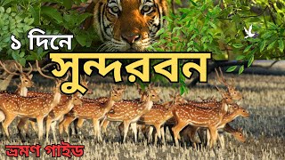 ১ দিনে সুন্দরবনের সম্পূর্ণ ভ্রমণ গাইড|Dhaka to Sundarban Tour|Koromjol Day Tour | Sundarban Tour |