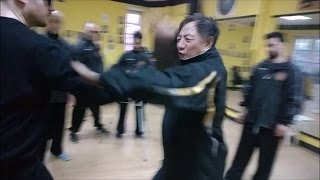 Tongbei Quan - Fight Techniques \u0026 Applications II - GM Guan Tieyun - M Falanga 2017