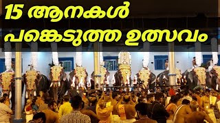 15 ആനകൾ പങ്കെടുത്ത ഉത്സവം 2024 | 15 elephants ulsavam 2024 | elephants videos | #elephant #pets