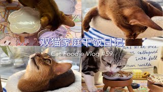 漂亮餐盒试吃～|双猫家庭干饭日记Vlog59