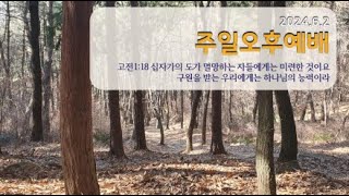 20240602 주일오후예배 사무엘상 1장 19절 - 28절 강해