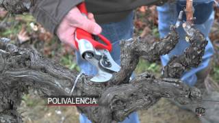 FELCO 820 for viticulture works - Subtitled in Spanish