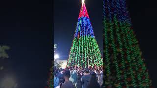 X mas vibes at night time in dubai !! 2024 !!  Al seef Dubai !! United Arab Emirates