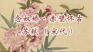 66《一诗一赏》苏轼代表作《念奴娇·赤壁怀古》