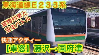 【快速アクティー】藤沢→国府津《東海道線E233系 右側車窓》