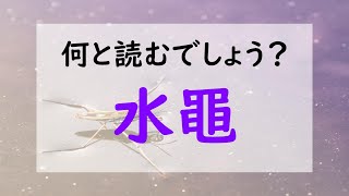 【水黽って何て読むの？】読み方クイズ♪言語聴覚士と脳トレ！#17