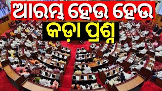 ଆରମ୍ଭ ହେଉ ହେଉ କଡ଼ା ପ୍ରଶ୍ନ | Odisha Assembly Winter Session | MLA Siddhant Mohapatra News | Odia News