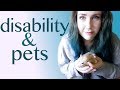 How pets help chronically ill/disabled people.
