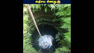 இந்த அதிசய கிணறு நீங்க பாத்திருக்கீங்களா😨| #shorts #zamzam #well