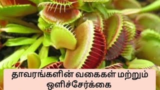 தாவரங்களின் வகைகள் மற்றும் ஒளிச்சேர்க்கை ||| plants ||| photosynthesis in Tamil