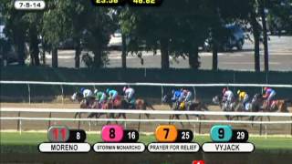 Zivo - 2014 Suburban Handicap (G2)