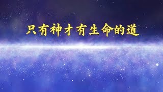 基督教會讚美詩歌《只有神才有生命的道 》