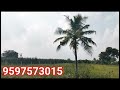 v271 2 ஏக்கர் 10 சென்ட் 500 feet road layoutproperty companyproperty வீட்டுமனைகள் farmland