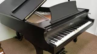 Steinway Artisanal Show Piano