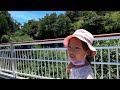 【我們這一窩】2022.7.24~25 清境｜合歡山 day1 ｜天空步道｜綿羊｜馬術｜暗空公園｜銀河｜星空｜流星 清境農場 綿羊 天空步道