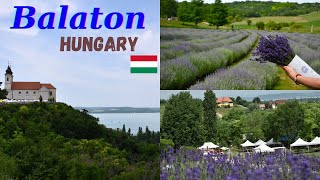 Lake Balaton 🏞️🚤 Beautiful Lavender field💜 \u0026 Tihany - Hungary  🇭🇺