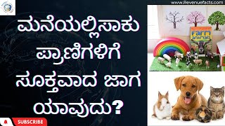 ಮನೆಯಲ್ಲಿಸಾಕು ಪ್ರಾಣಿಗಳಿಗೆ ಸೂಕ್ತವಾದ ಜಾಗ ಯಾವುದು? ಯಾವ ದಿಕ್ಕಿನಲ್ಲಿ ಸಾಕು ಪ್ರಾಣಿಗಳಿದ್ದರೆ ಉತ್ತಮ?