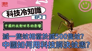 滅一隻蚊相當於滅500隻蚊? 中國如何用科技解決蚊患? 中國科技對世界的影響 【科技冷知識 EP.2】 / 香港青年 小明