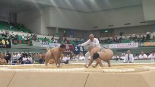 20160803 白川大貴(高松南)ー福田紘也 (黒羽)鳥取インターハイ相撲個人予選105156