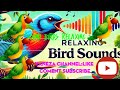 relaxing birds sounds @vaneza-g7h