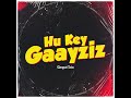 hu key gaayziz edm